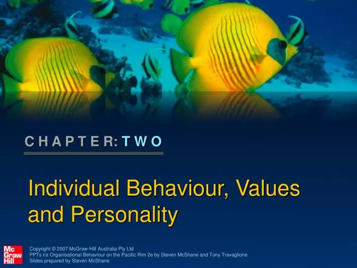 individual behaviour values and personality