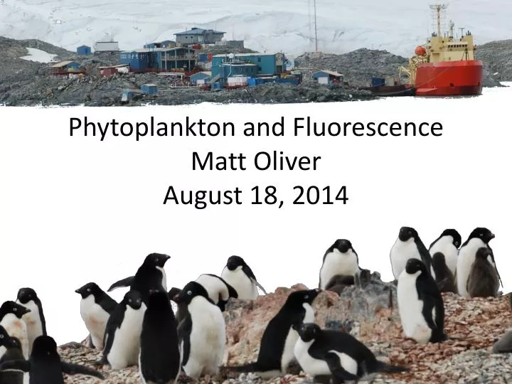 phytoplankton and fluorescence matt oliver august 18 2014
