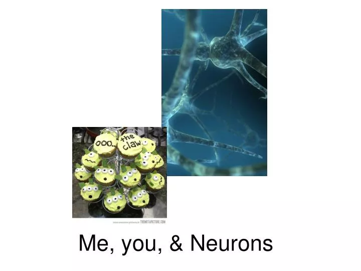 me you neurons