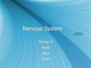 Nervous System