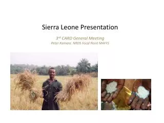 Sierra Leone Presentation 3 rd CARD General Meeting Peter Kamara. NRDS Focal Point MAFFS