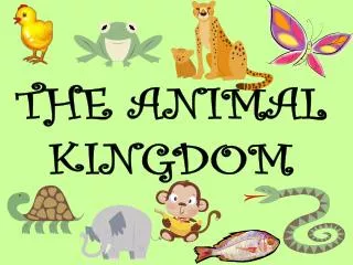 THE ANIMAL KINGDOM