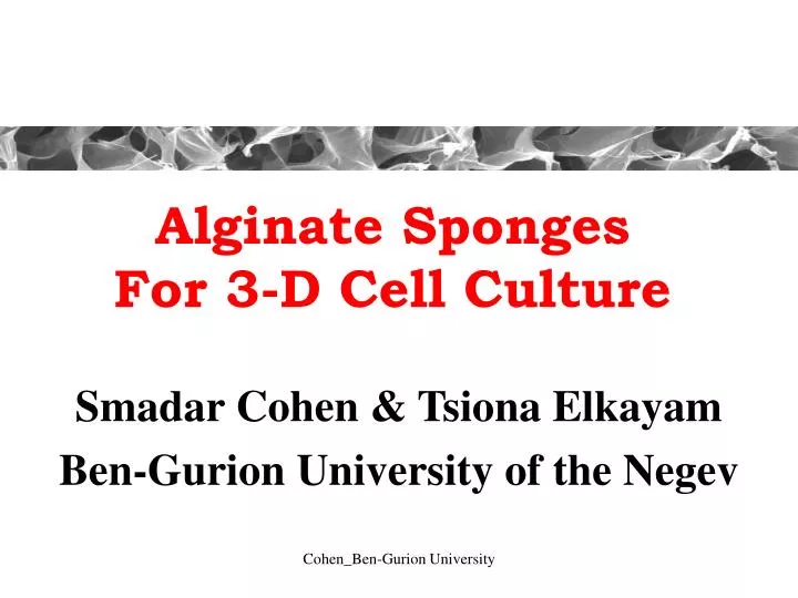 alginate sponges for 3 d cell culture