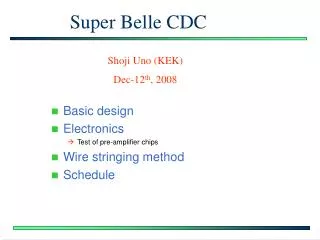 Super Belle CDC