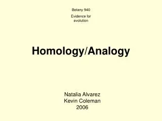 Homology/Analogy