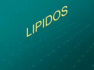 lipidos