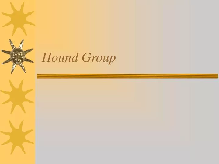 hound group