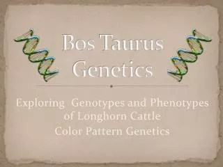 Bos Taurus Genetics