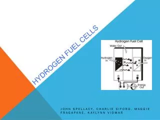 Hydrogen Fuel Cells