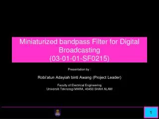 Miniaturized bandpass Filter for Digital Broadcasting ( 03-01-01-SF0215)