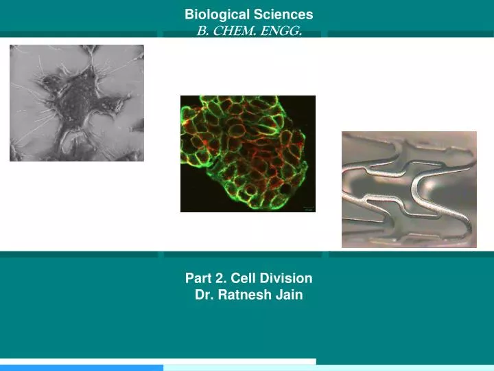 biological sciences b chem engg part 2 cell division dr ratnesh jain
