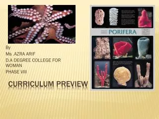 Curriculum preview