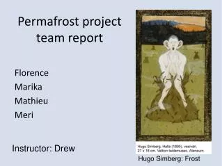 Permafrost project team report