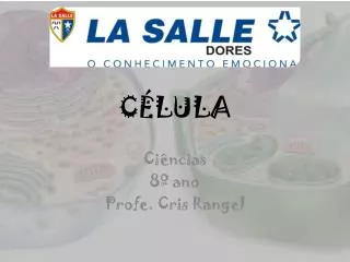 c lula