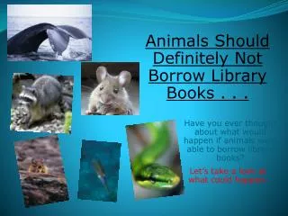 Have you ever thought about what would happen if animals were able to borrow library books?