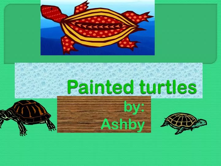painted turtles