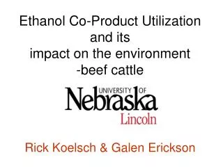 Ethanol Co-Product Utilization and its impact on the environment -beef cattle