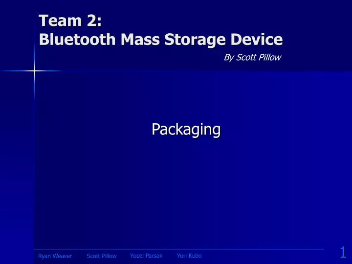 team 2 bluetooth mass storage device