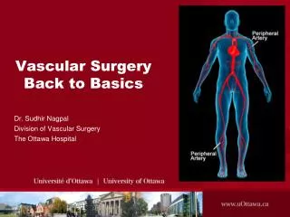 Vascular Surgery Back to Basics