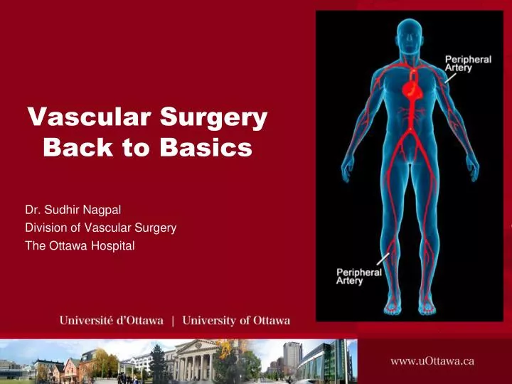 vascular surgery back to basics