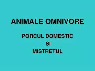 animale omnivore