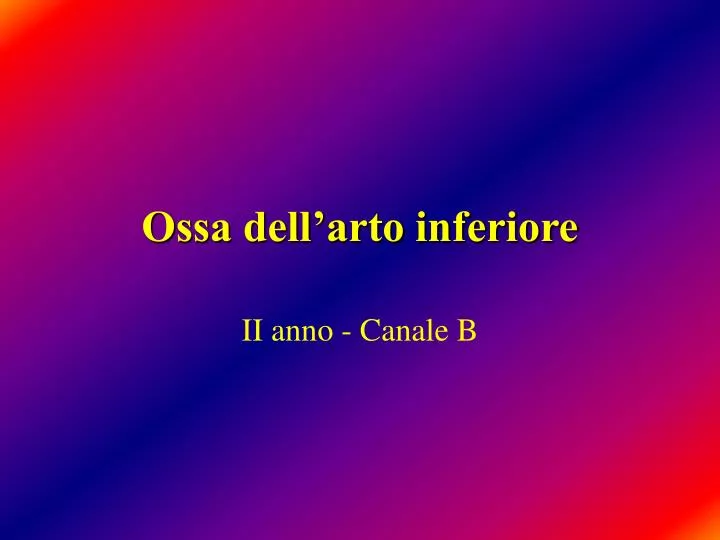 ossa dell arto inferiore