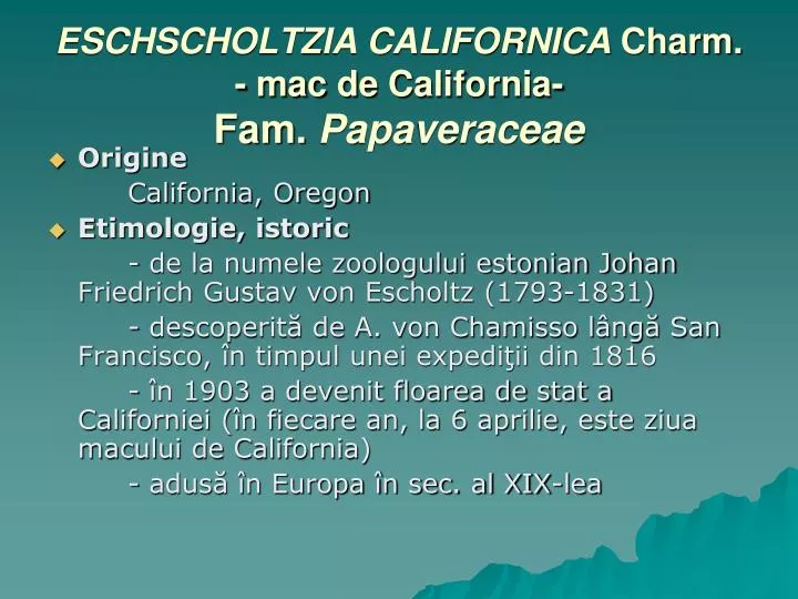 eschscholtzia californica charm mac de c alifornia fam papaveraceae