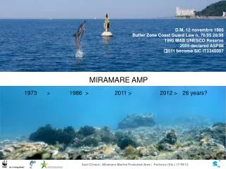 MIRAMARE AMP