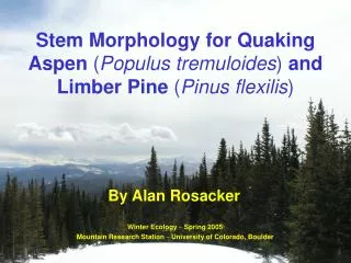 Stem Morphology for Quaking Aspen ( Populus tremuloides ) and Limber Pine ( Pinus flexilis )