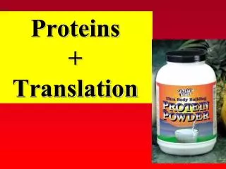 Proteins + Translation