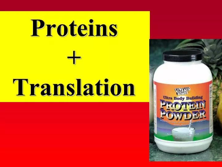 proteins translation