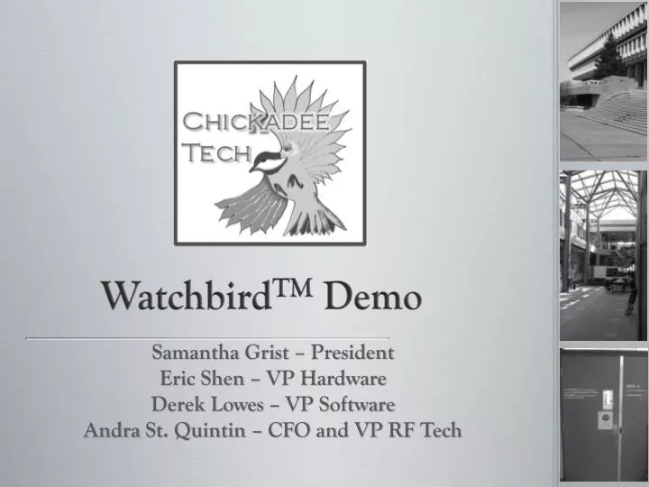 watchbird tm demo