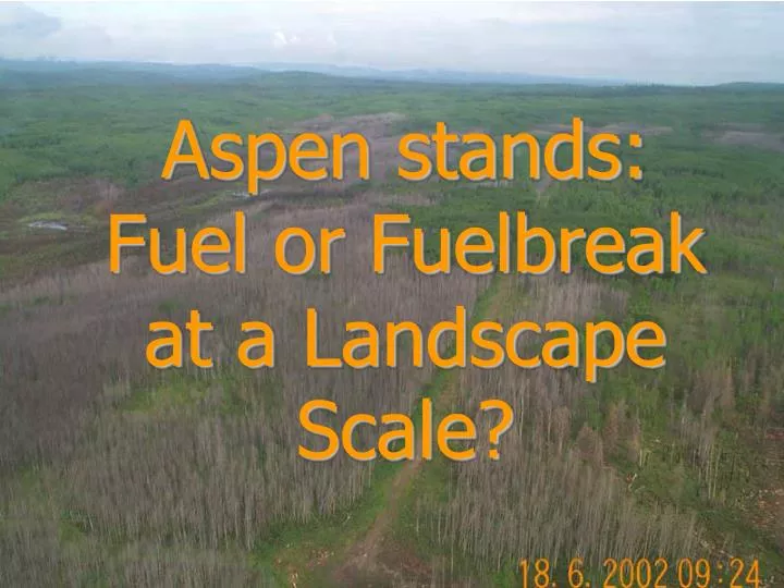 aspen stands fuel or fuelbreak at a landscape scale