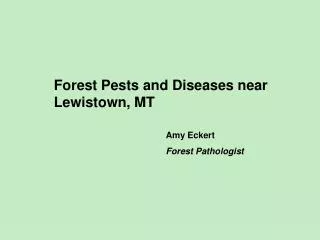 Forest Pests and Diseases near Lewistown, MT
