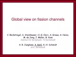 Global view on fission channels