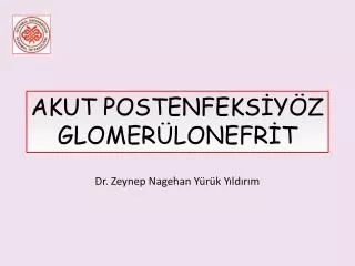 Dr. Zeynep Nagehan Yürük Yıldırım