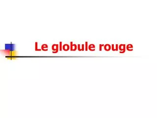 le globule rouge