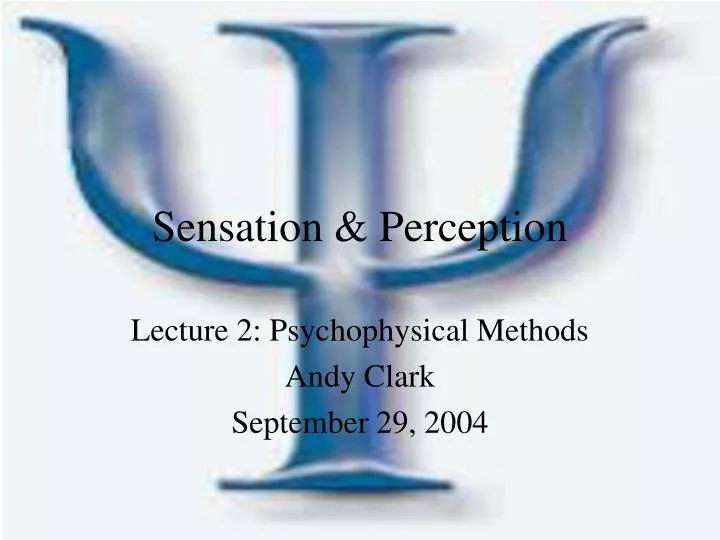 sensation perception