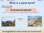 What is a sand dune?