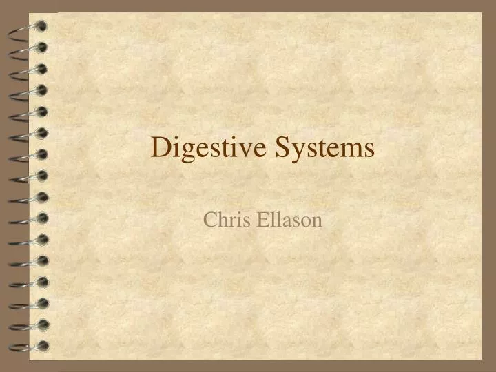 digestive systems