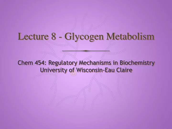 lecture 8 glycogen metabolism