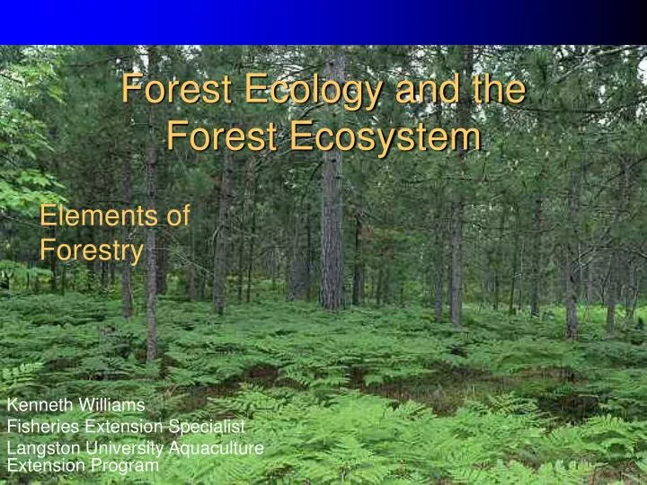 forest ecology and the forest ecosystem