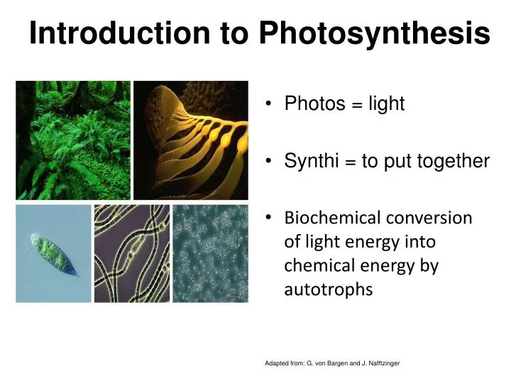 introduction to photosynthesis