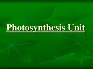 Photosynthesis Unit