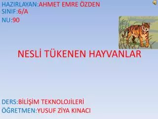 nesl t kenen hayvanlar