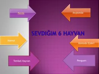 sevdi im 6 hayvan