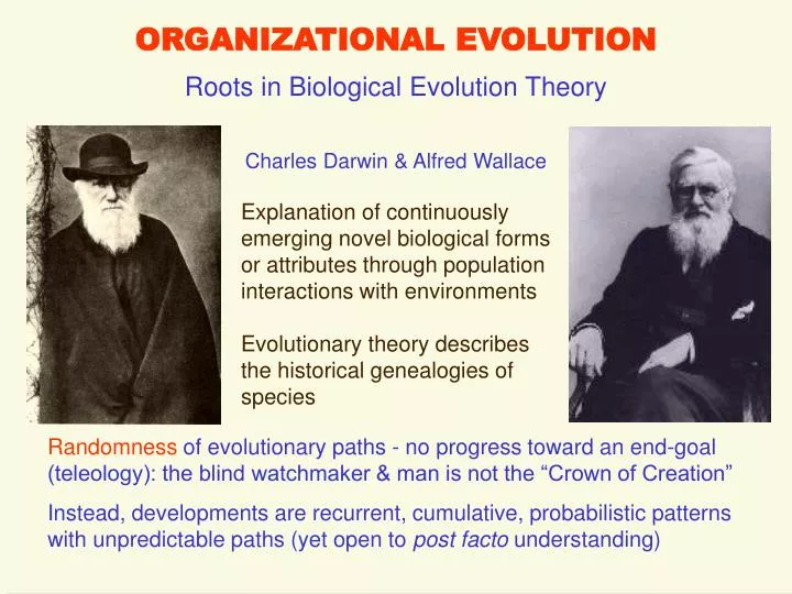organizational evolution