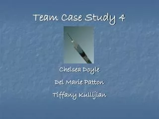 Team Case Study 4
