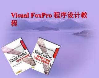 visual foxpro