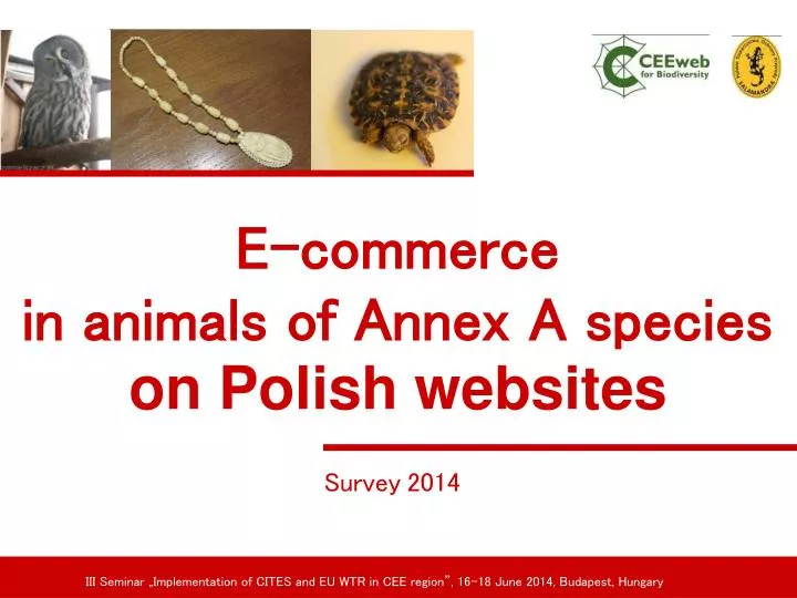 e commerce in animals of annex a species on polish websites